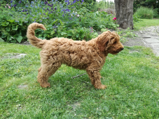 Standje mooi