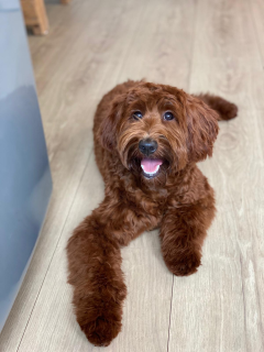 Hallo!!!