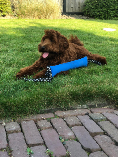 Heerlijk relaxen