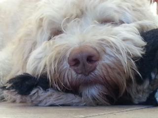 Zzzzzzzz