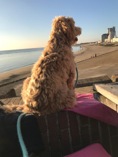 Op de boulevard