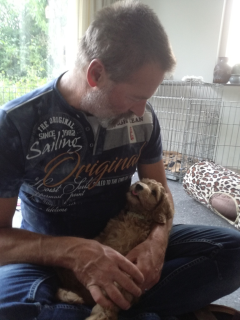 Op schoot