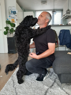 Op ooghoogte