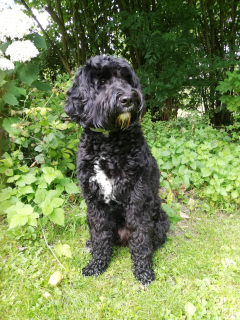 Poseren in de tuin