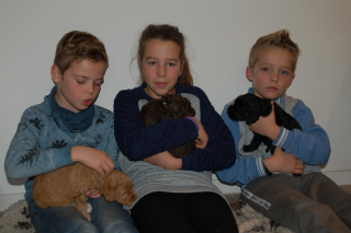 Genieten