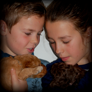 Samen genieten