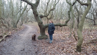 Bos oostkapelle