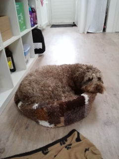 In het kleine madje van izzy