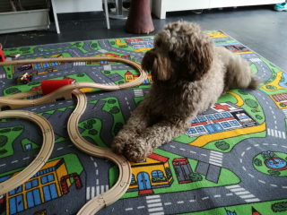 Spelen2