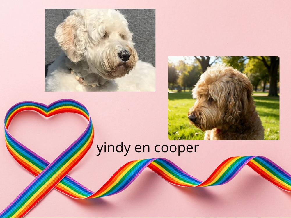 Yindy❤️Cooper
