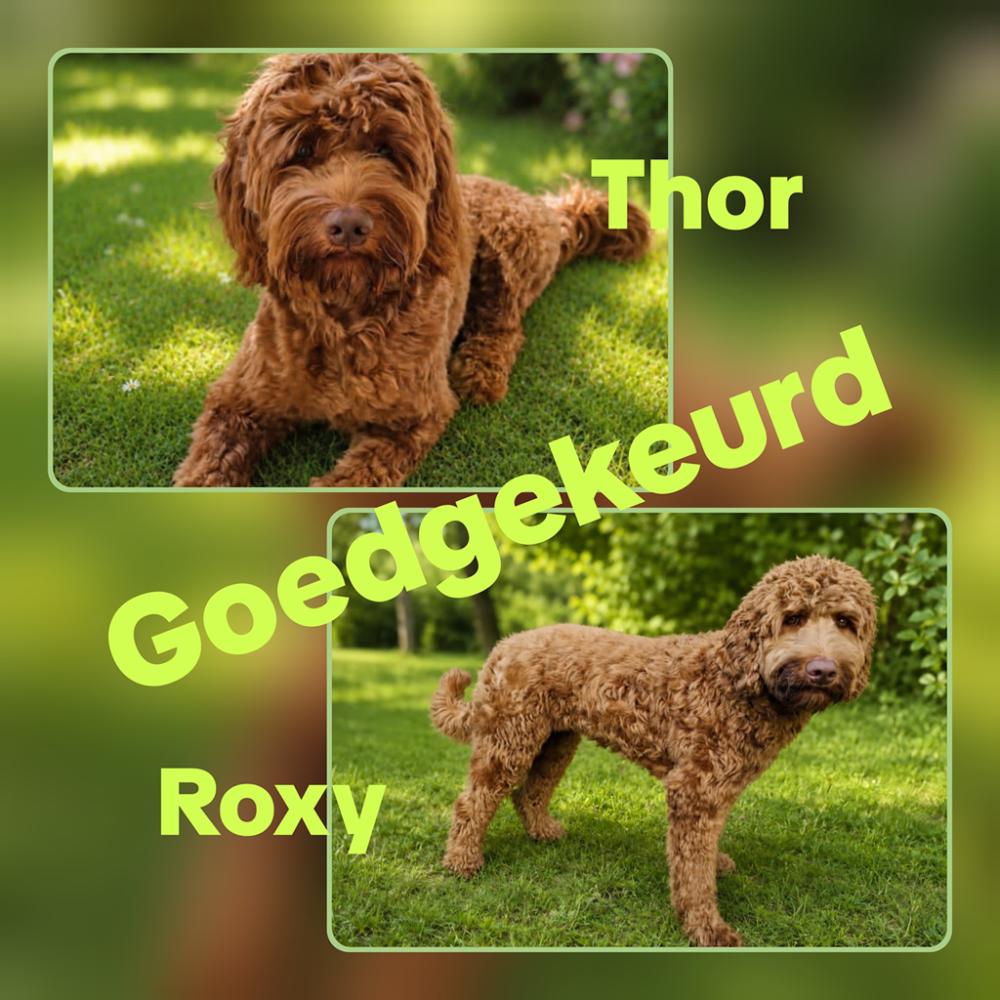 Roxy en Thor goedgekeurd 15-9-26