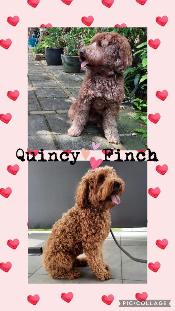 Quincy/Finch hadden een date (juni 23)